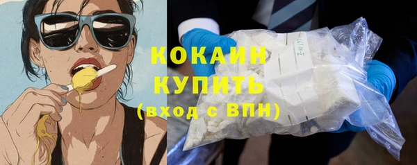 спайс Гусев