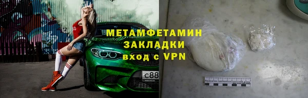 прущие грибы Дмитриев