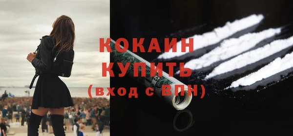 PSILOCYBIN Гусиноозёрск