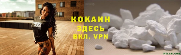 прущие грибы Дмитриев
