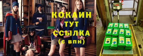 прущие грибы Дмитриев