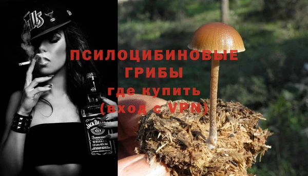 марки lsd Гусь-Хрустальный