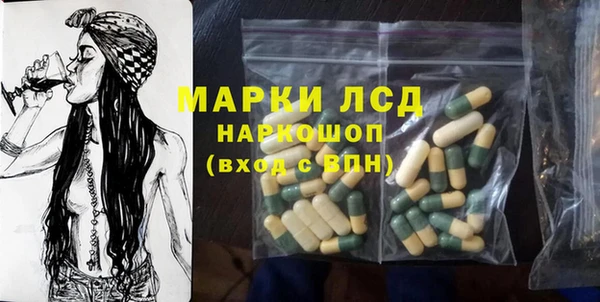 PSILOCYBIN Гусиноозёрск