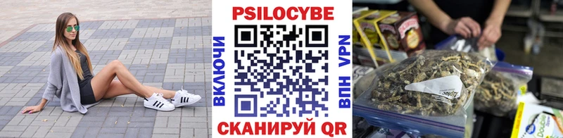 Псилоцибиновые грибы мицелий Гусиноозёрск